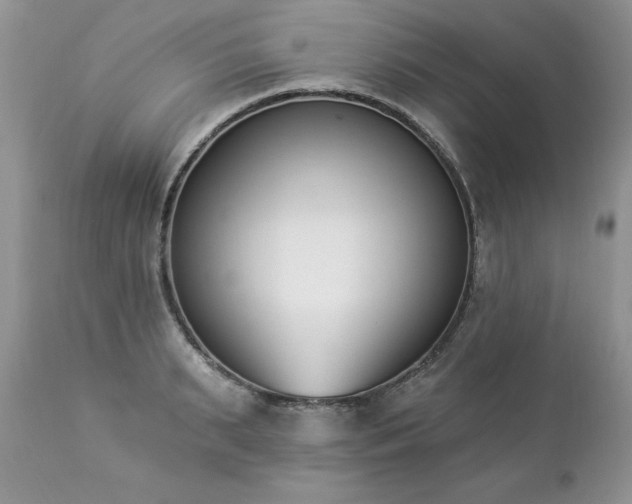 X0000112840895200908211238