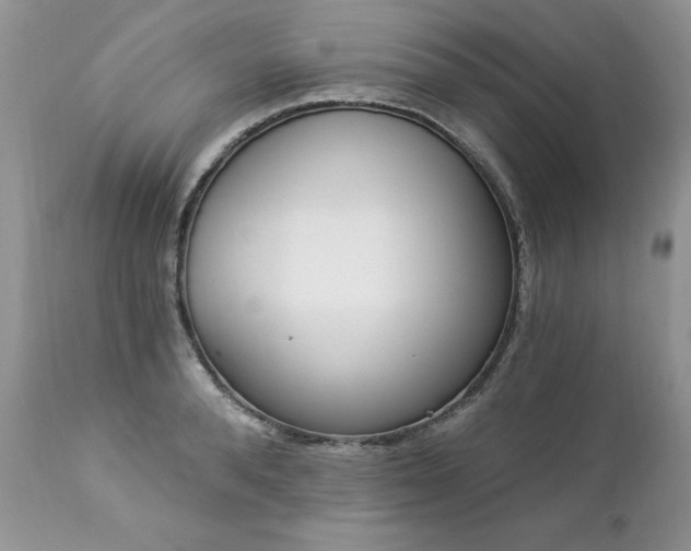 X0000112840896200908211238