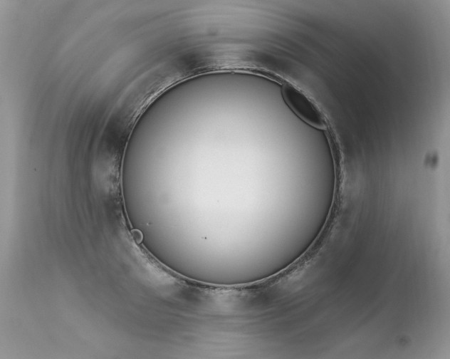 X0000112840897200908211238