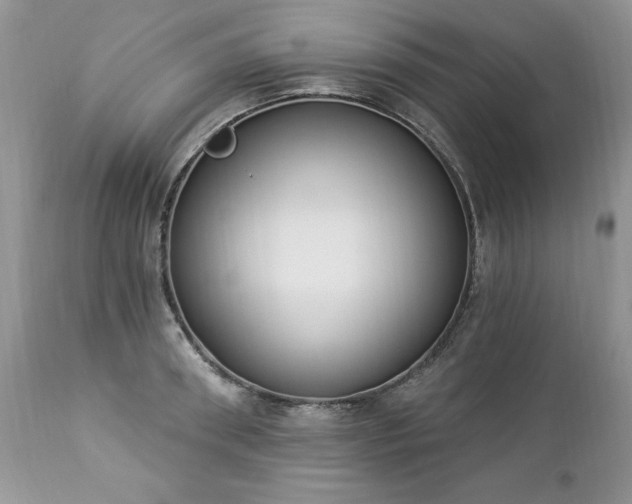 X0000112840898200908211238