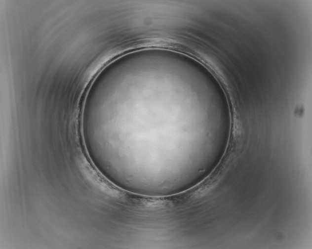 X0000112840899200908211238