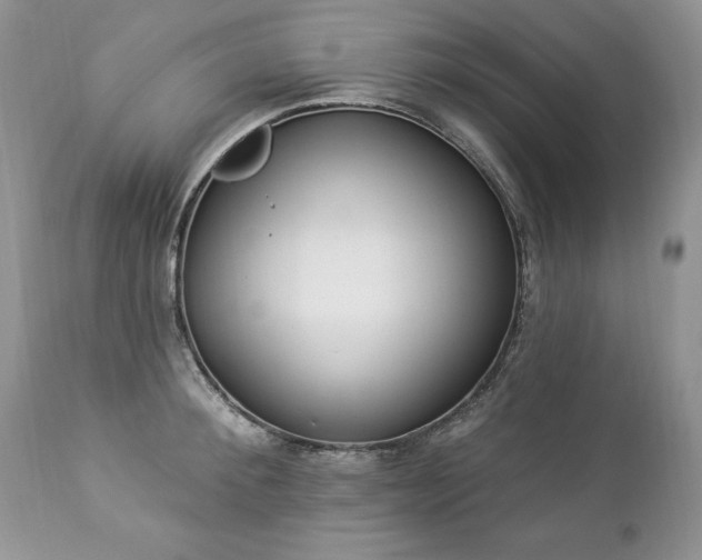 X0000112840900200908211238