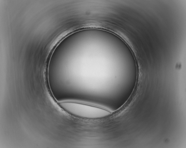 X0000112840901200908211238