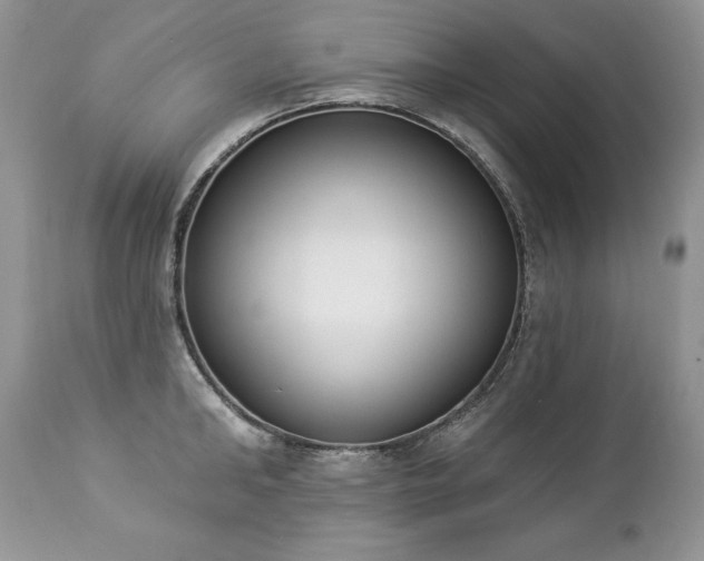 X0000112840902200908211238