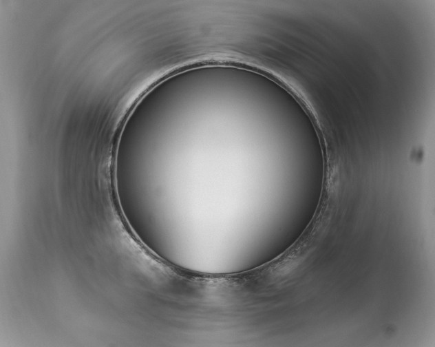 X0000112840903200908211238