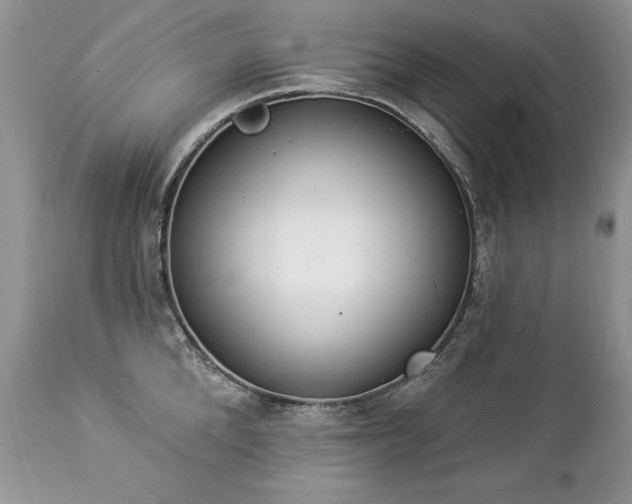 X0000112840904200908211238