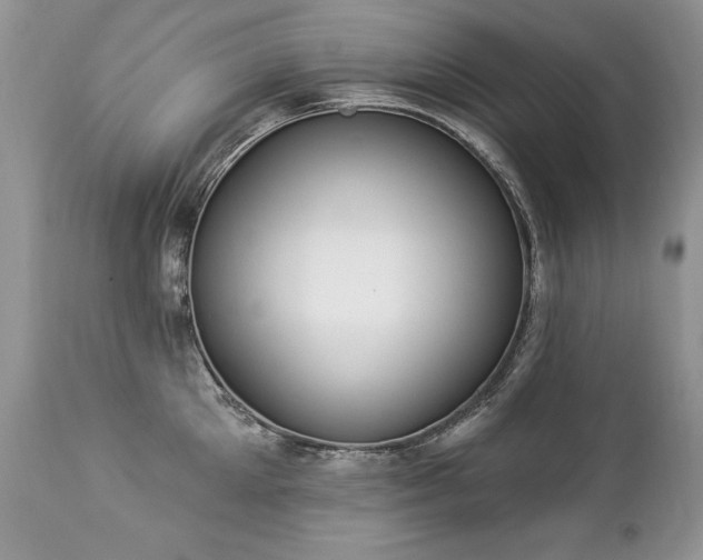 X0000112840905200908211238