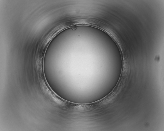 X0000112840906200908211238