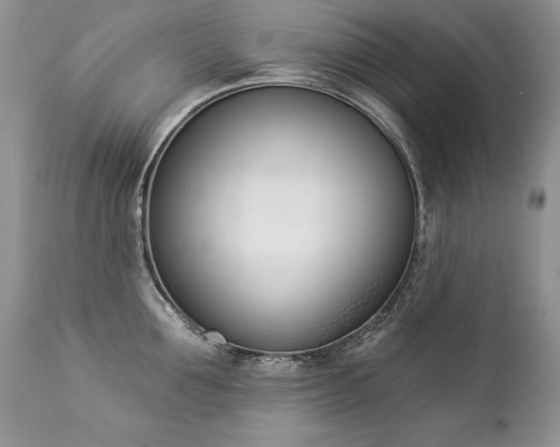 X0000112840907200908211238