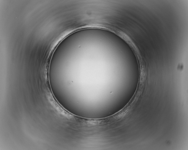 X0000112840908200908211238