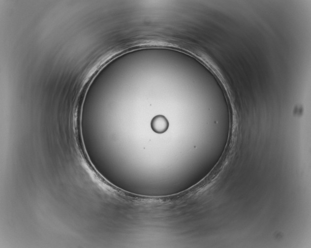 X0000112840909200908211238