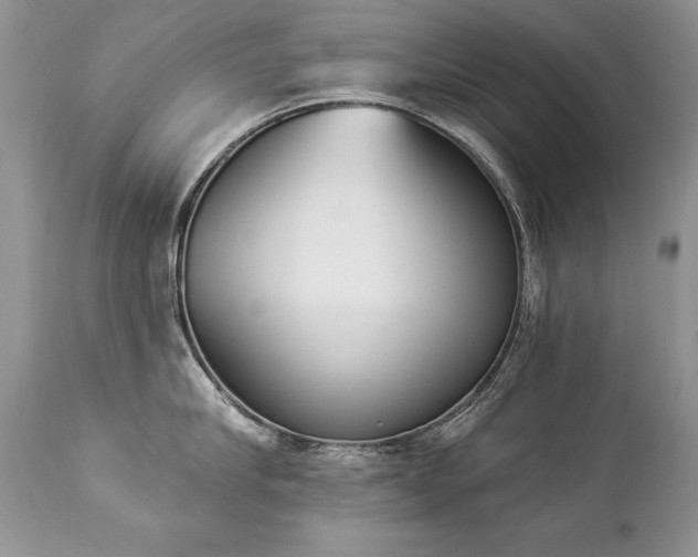 X0000112840910200908211238