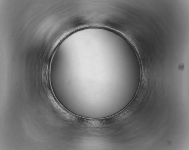 X0000112840911200908211238