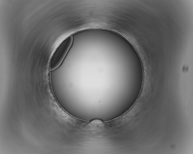 X0000112840912200908211238