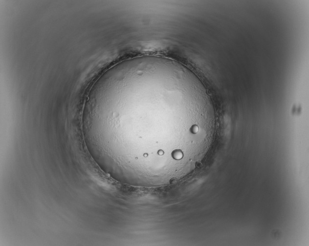 X0000112840913200908211237