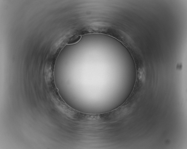 X0000112840915200908211237