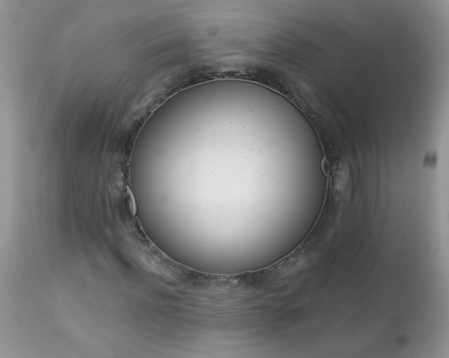 X0000112840916200908211237