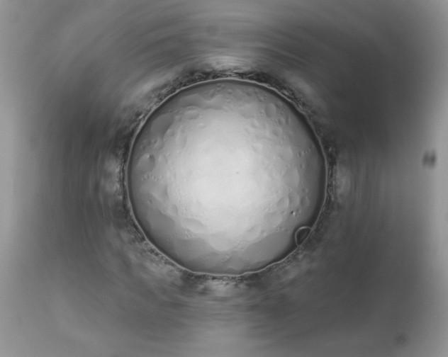 X0000112840917200908211237