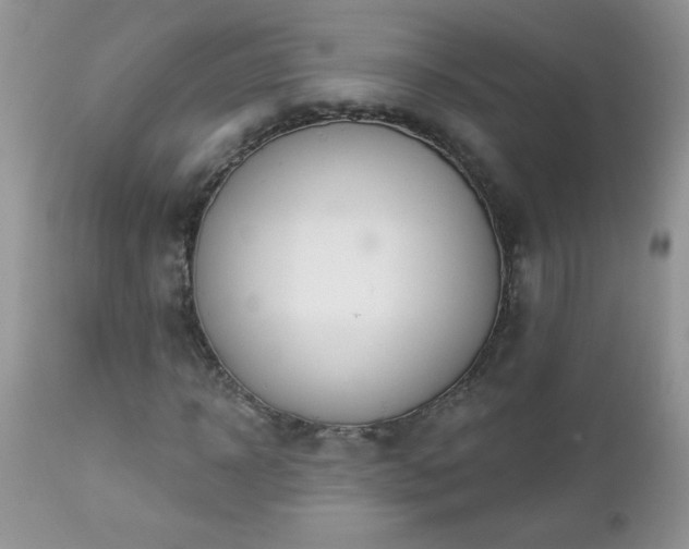 X0000112840918200908211237