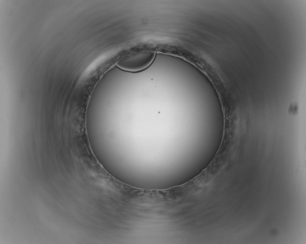 X0000112840919200908211237