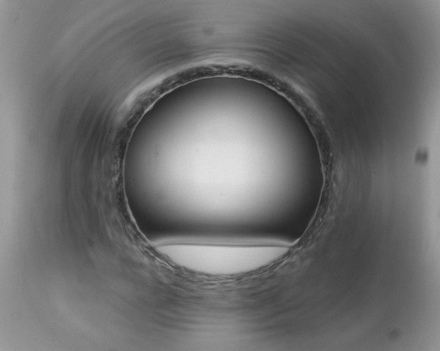 X0000112840920200908211237