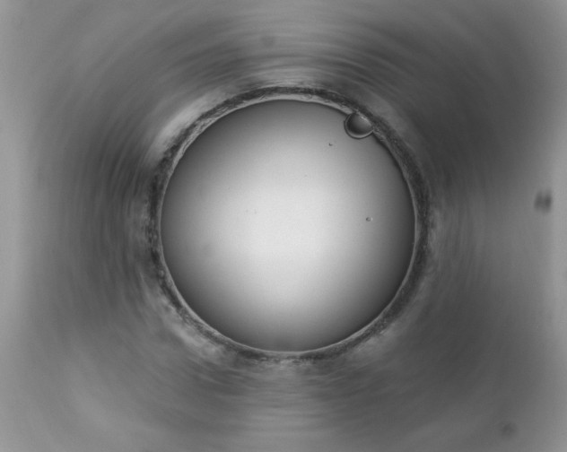 X0000112840922200908211237