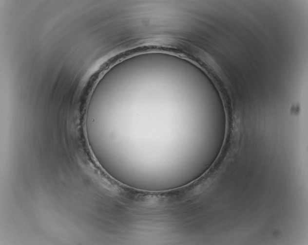 X0000112840923200908211237