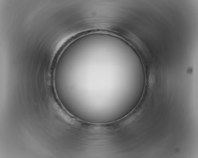 X0000112840924200908211237