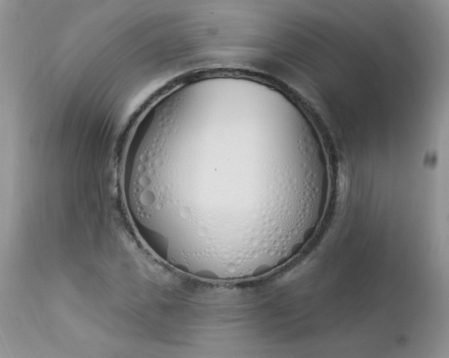 X0000112840925200908211238