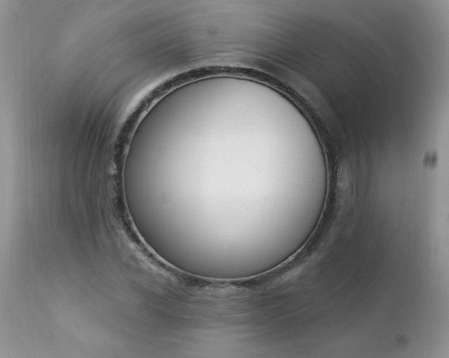 X0000112840926200908211238