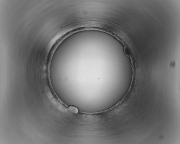 X0000112840928200908211238