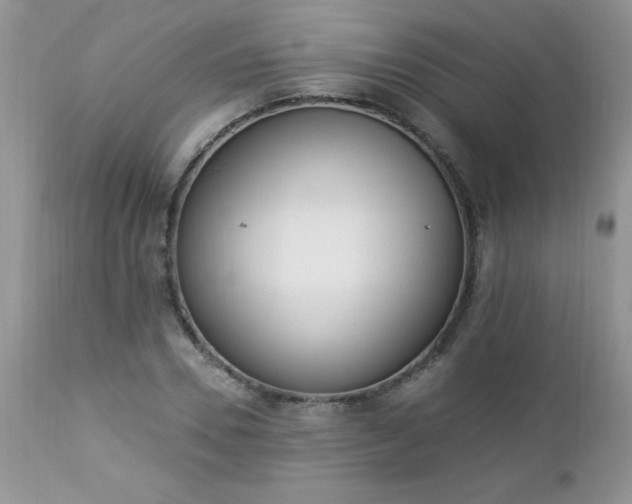 X0000112840930200908211238