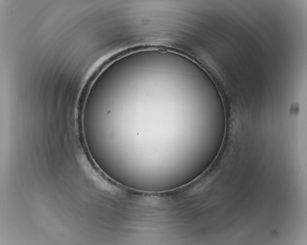 X0000112840932200908211238