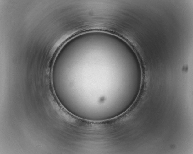 X0000112840933200908211238