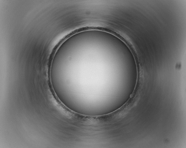 X0000112840935200908211238