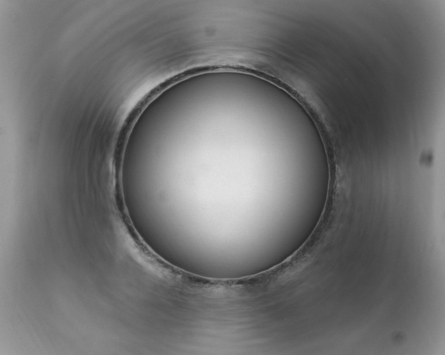 X0000112840936200908211238