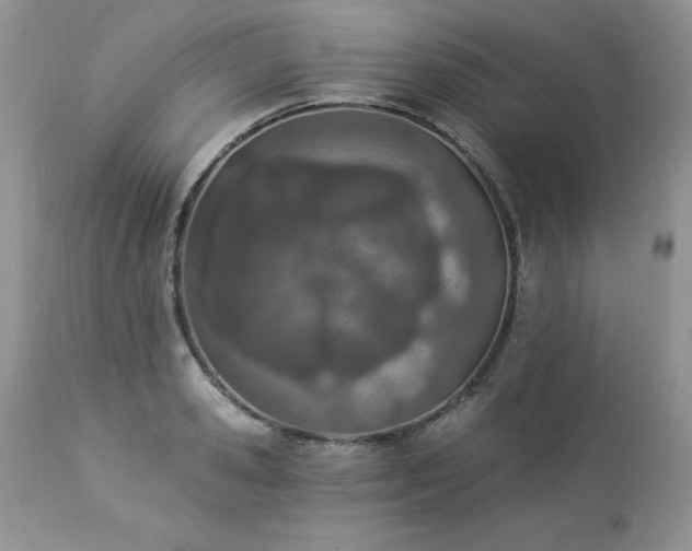 X0000112840941200908211238