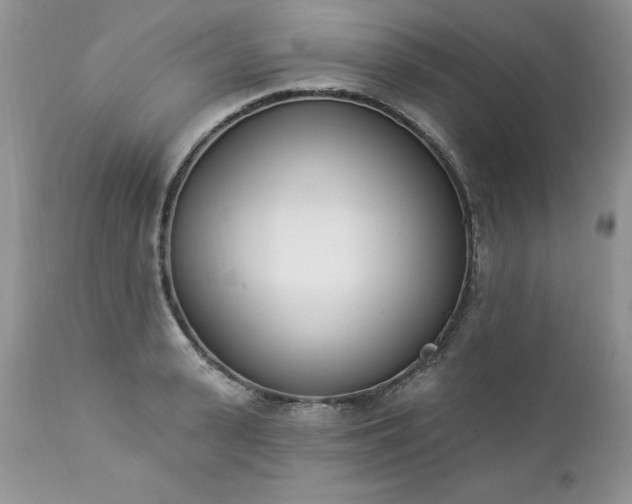 X0000112840943200908211238