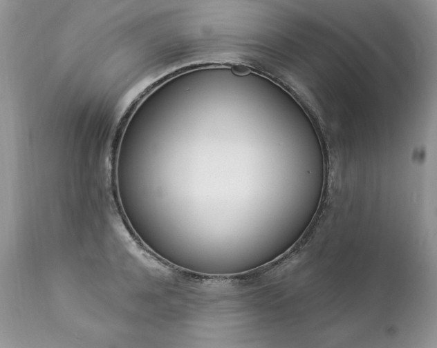 X0000112840944200908211238