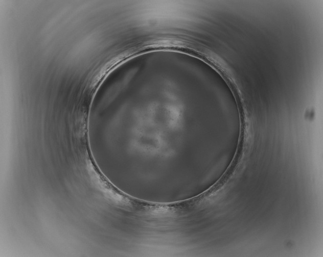 X0000112840945200908211238