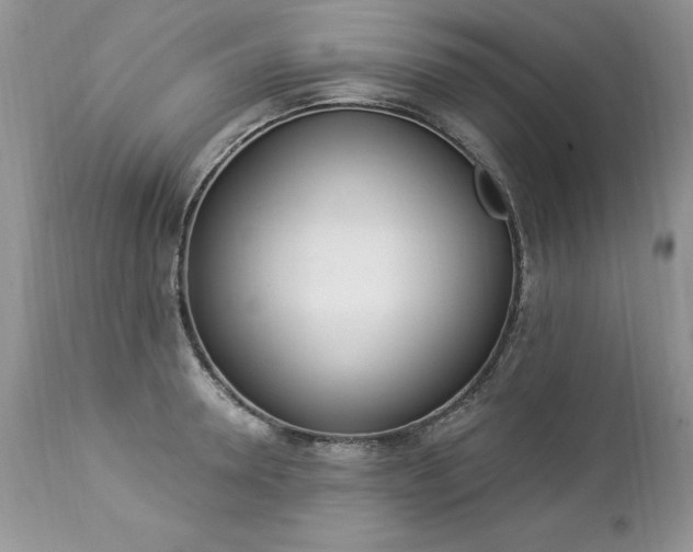 X0000112840946200908211238