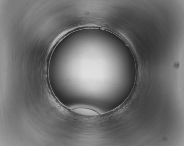 X0000112840948200908211238