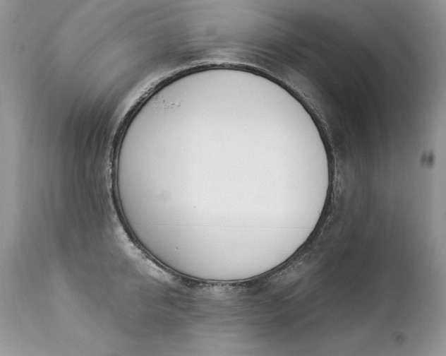 X0000112840950200908211238