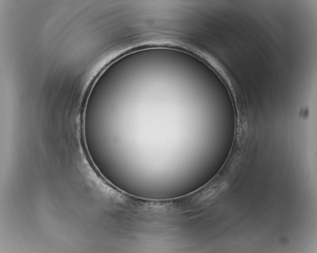 X0000112840951200908211238