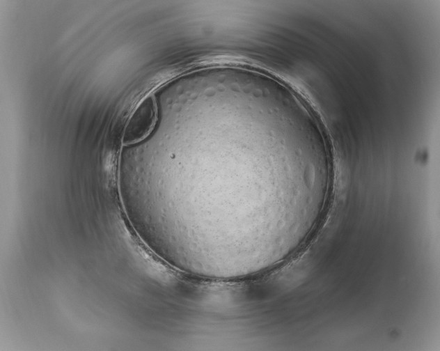 X0000112840953200908211238