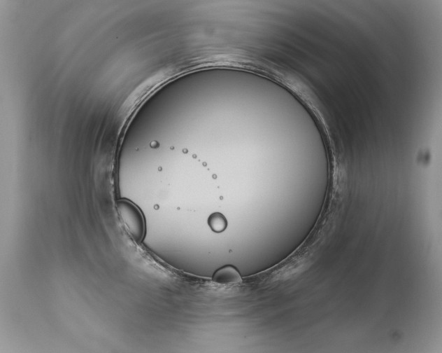 X0000112840954200908211238