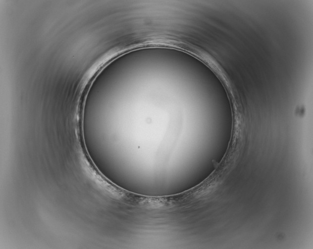 X0000112840955200908211238