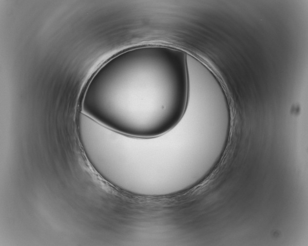 X0000112840956200908211238