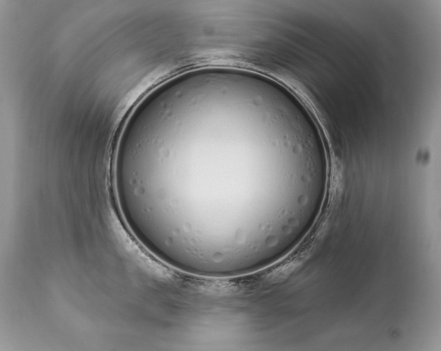 X0000112840957200908211238