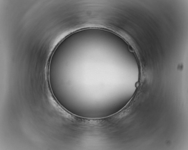 X0000112840958200908211238